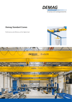 Demag standard cranes &ndash; Performance and efficiency at the highest