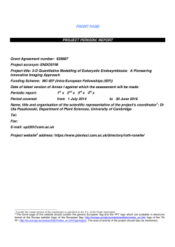 PROJECT PERIODIC REPORT Grant Agreement number
