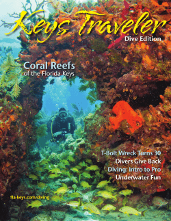 Coral Reefs - Fla