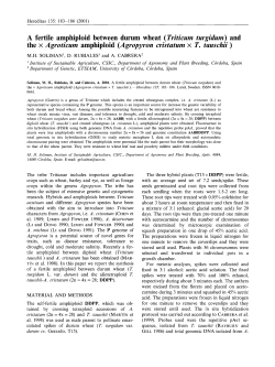 A Fertile Amphiploid between Durum Wheat (Triticum Turgidurn