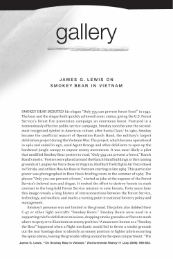 Smokey the Bear - Blue Water Navy Vietnam Veterans Association