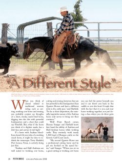 A Different Style - Arabian Working Cow Horse Association