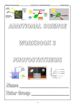photosynthesis - Wellsway School