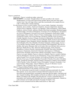 opium poppy - Plant Biographies