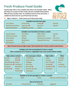 Fresh Produce Food Guide