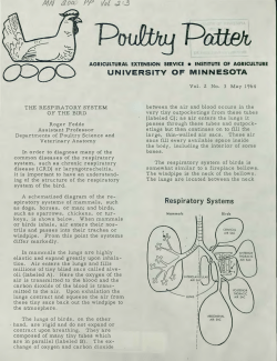 mn2000-pp-v02-n03 (168.7Kb application/pdf)