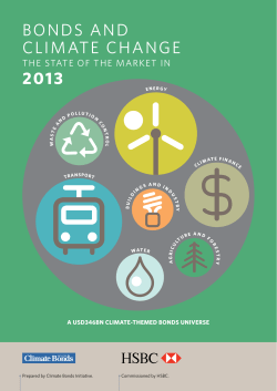 Bonds and Climate Change 2013