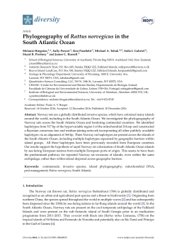 Phylogeography of Rattus norvegicus in the South Atlantic Ocean