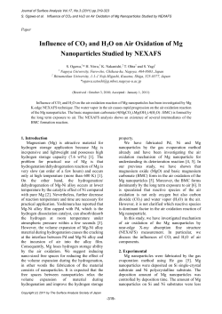 Influence of CO2 and H2O on Air Oxidation of Mg Nanoparticles