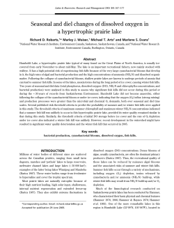 Seasonal and diel changes of dissolved oxygen in a hypertrophic