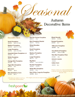 Autumn Decorative Items