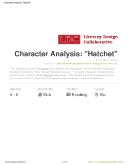 Character Analysis: "Hatchet"