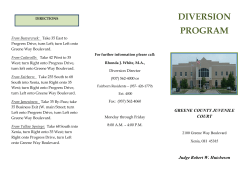 Diversion Brochure