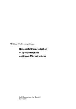 Nanoscale Characterization of Epoxy Interphase on
