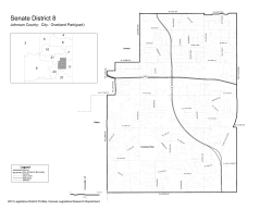 Senate District Map No. 8