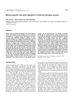 Meiosis-specific cell cycle regulation in maturing Xenopus oocytes