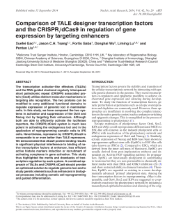 Comparison of TALE designer transcription factors and the CRISPR