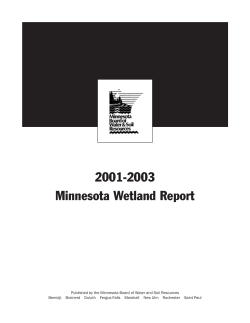 2001-2003 Minnesota Wetland Report