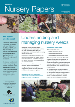 Understanding and managing nursery weeds