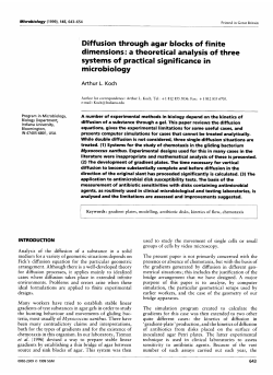 Diffusion through agar blocks of finite dimensions: a