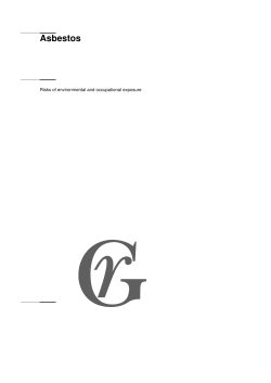 Asbestos - Gezondheidsraad