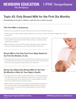 Topic #2 Only Breast Milk for the First Six Months