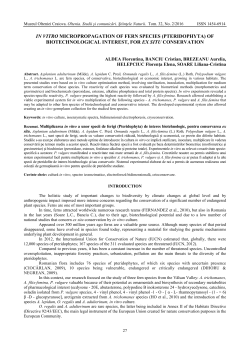 IN VITRO MICROPROPAGATION OF FERN SPECIES