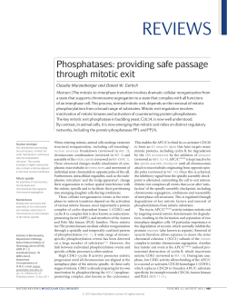 Phosphatases: providing safe passage through mitotic exit