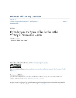 Hybridity and the Space of the Border in the
