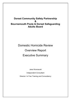 DHR C3 Executive Summary March 2014 (pdf