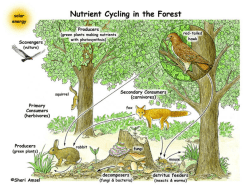 Untitled - Exploring Nature