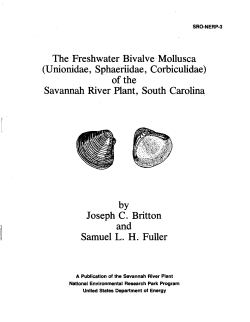 PDF - SREL`s archive pages!