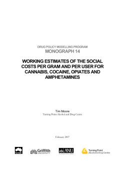 DPMP MONO 14 - Drug Policy Modelling Program