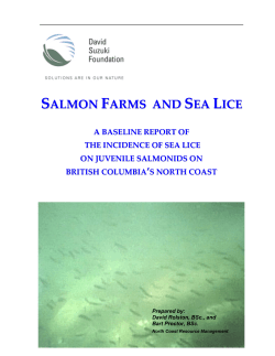 Salmon Farms and Sea Lice