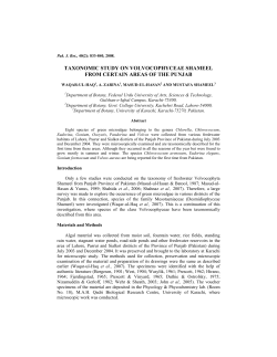 taxonomic study on volvocophyceae shameel from certain areas of