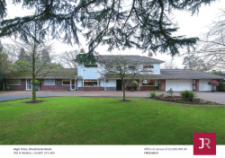 Brochure - Jeffrey Ross