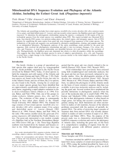 Mitochondrial DNA Sequence Evolution and Phylogeny of the