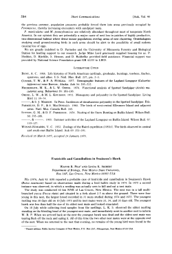 Fratricide and Cannibalism in Swainson`s Hawk