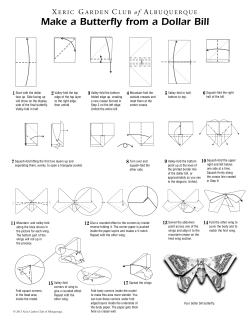 Make a Butterfly from a Dollar Bill