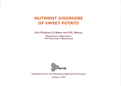 nutrient disorders of sweet potato