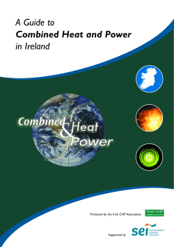 CHP Guide 8 pager