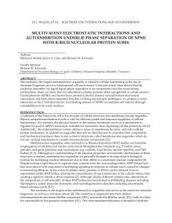 multivalent electrostatic interactions and autoinhibition underlie