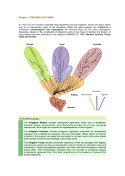 A good practice guide.... - +* Tudalenau Bangor Pages
