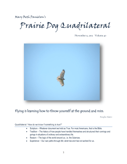 Prairie Dog Quadrilateral