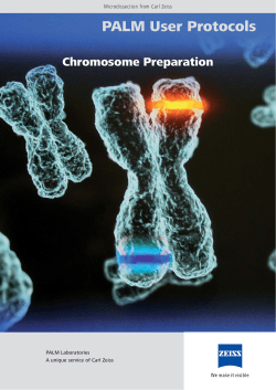 Chromosome Preparation