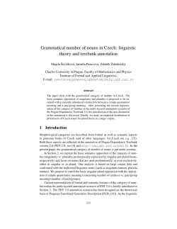 Grammatical number of nouns in Czech: linguistic theory and
