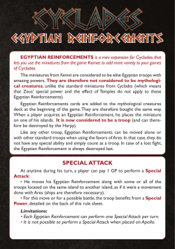 EGYPTIAN REINFORCEMENTS