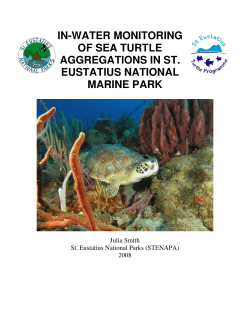 in-water monitoring of sea turtle aggregations in st
