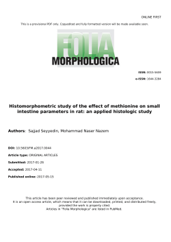 Histomorphometric study of the effect of methionine on small