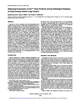 Subtypes of Fresh Primary Human Lung Tumors1